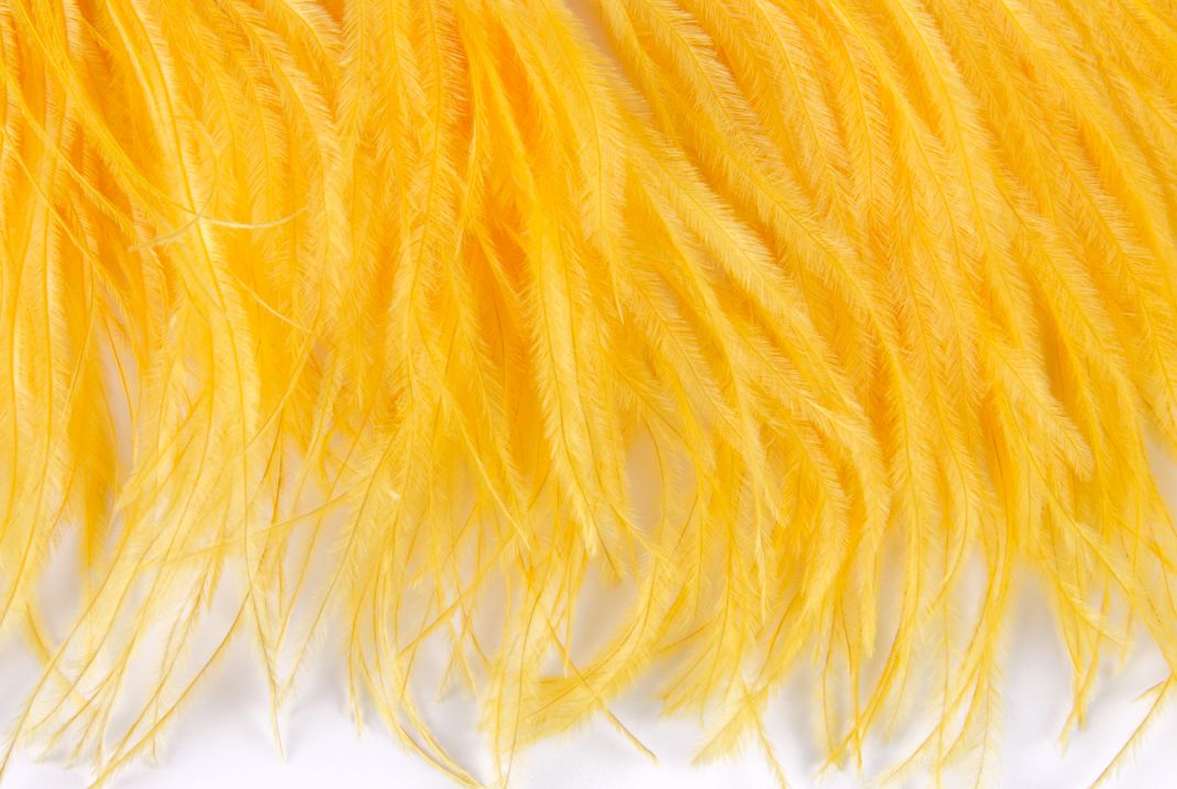 Ostrich Fringe 13-15cm depth per metre - 2 ply Egg Yolk