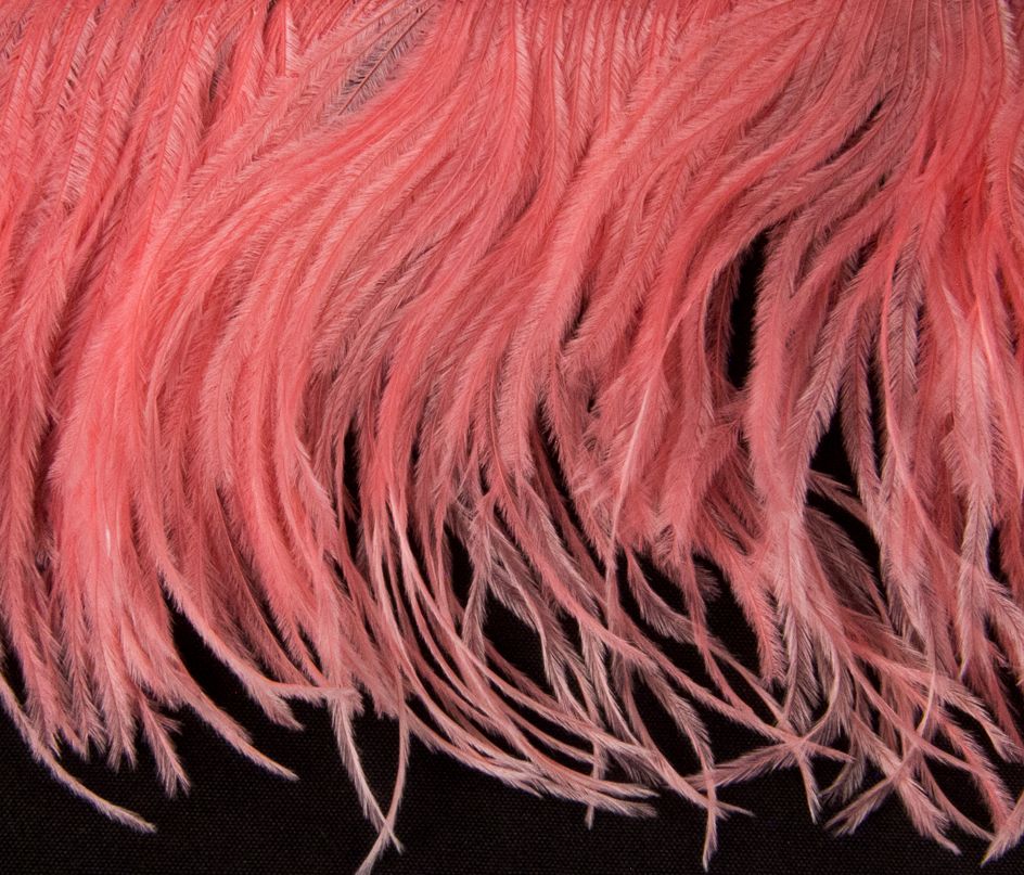 Ostrich Fringe 13-15cm depth per metre - 2 ply Coral