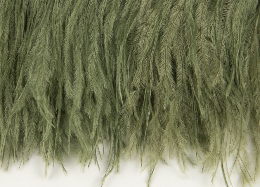 Ostrich Fringe 13-15cm depth per metre - 2 ply Palm Green