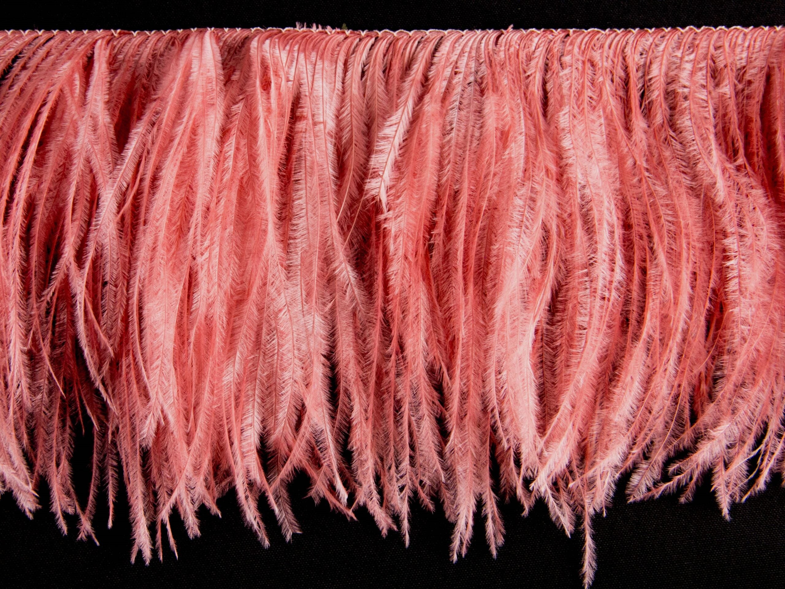 ostfr2 coral almond