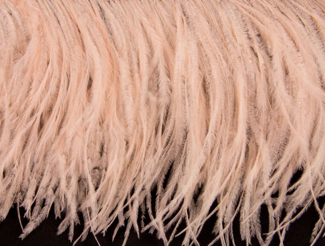 Ostrich Fringe 13-15cm depth per metre- 3 ply Apricot