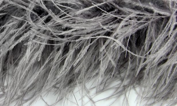 Ostrich Fringe 13-15cm depth per metre - 4 ply Charcoal Grey