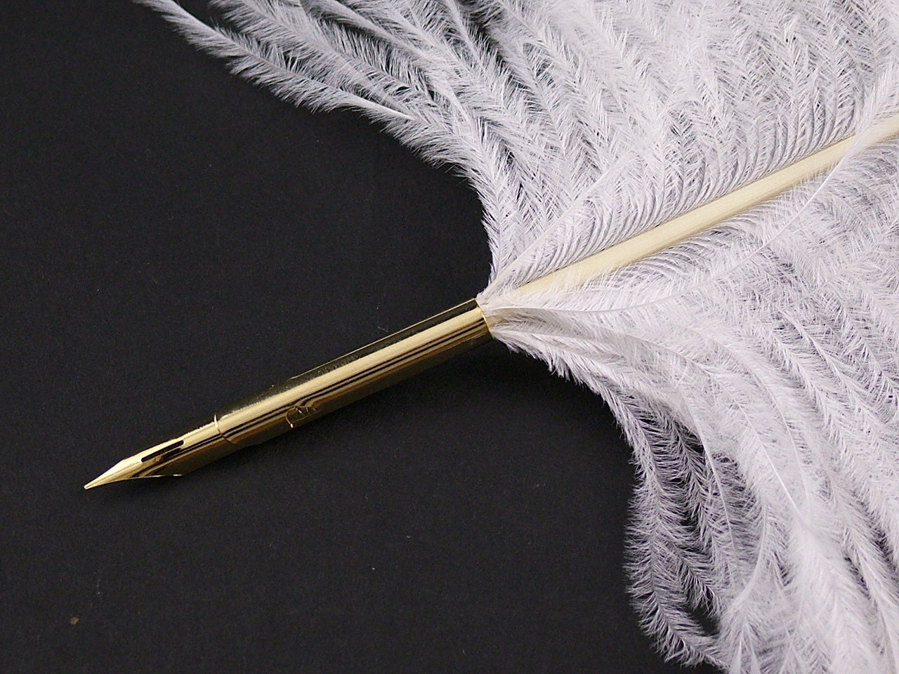 Ostrich Nib Pen - Pale colours