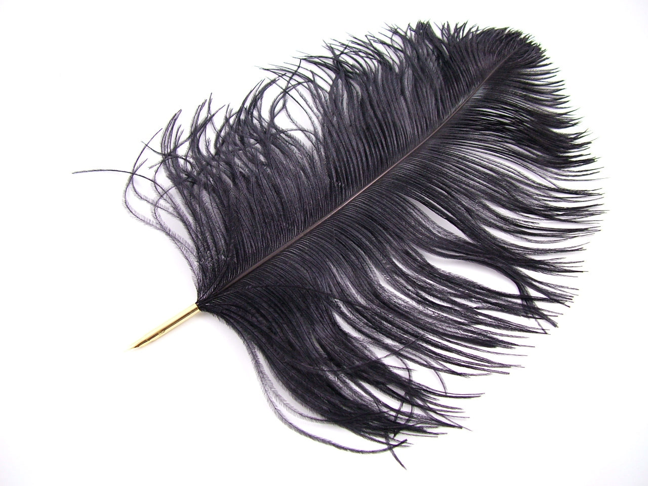 Ostrich Feather Pen