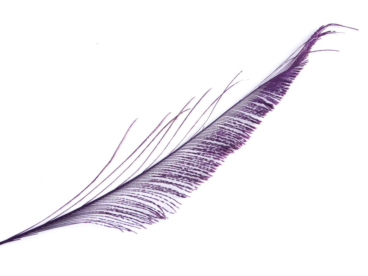 Peacock Sword Feather Dyed 25-30cm, Purple