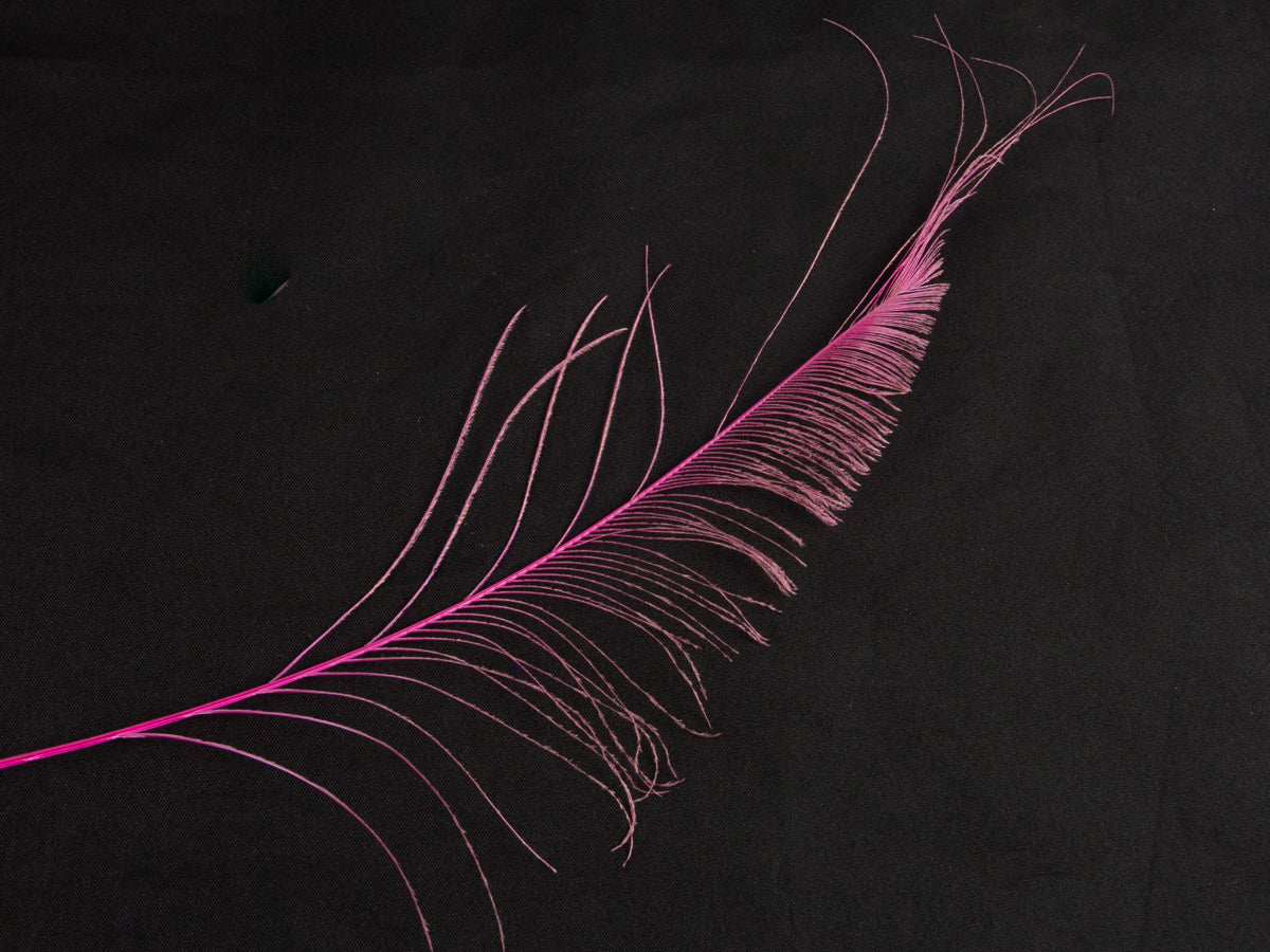 Peacock Sword Feather Dyed 25-30cm, Shocking Pink