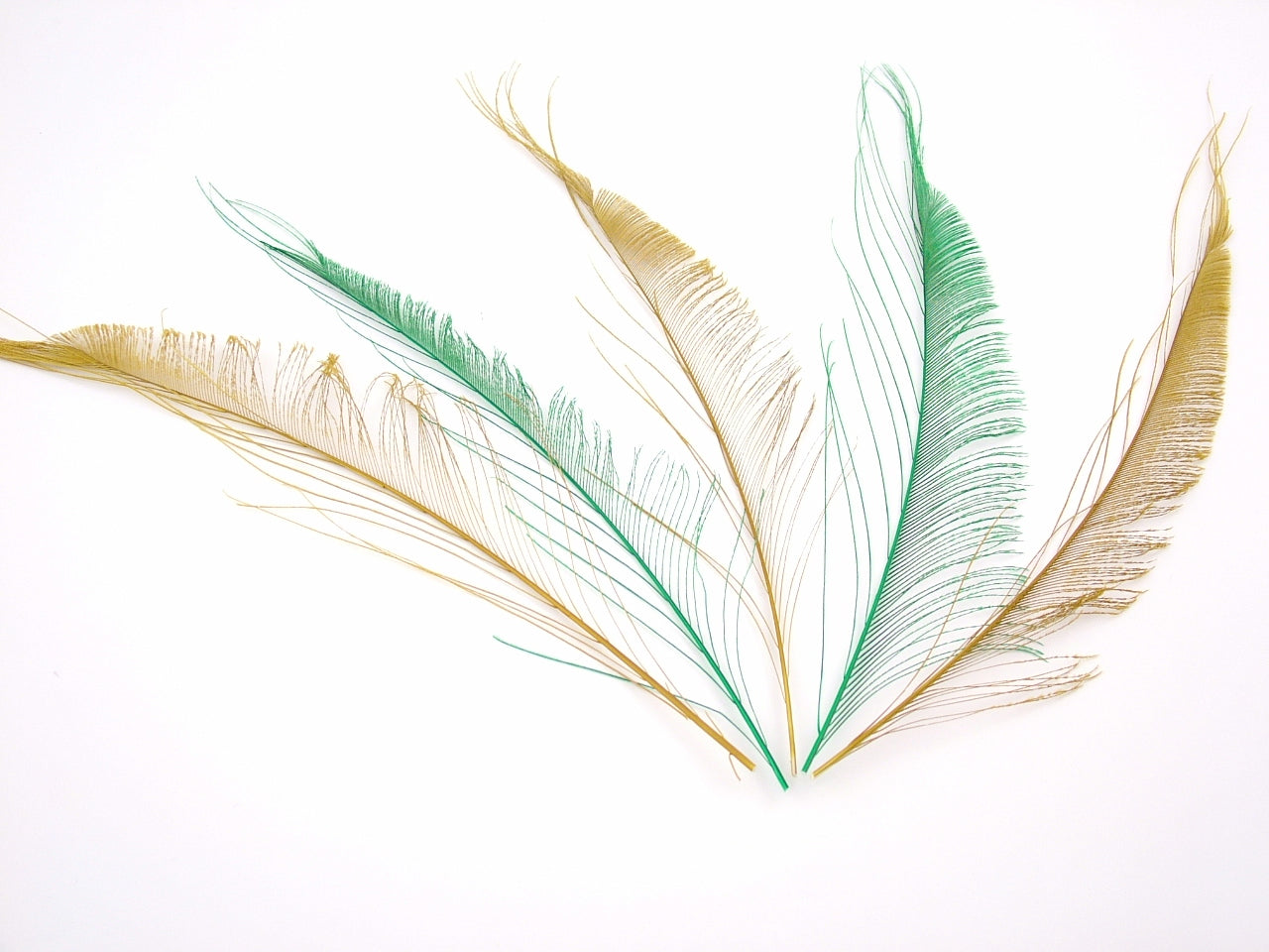 Peacock Sword Feather Dyed