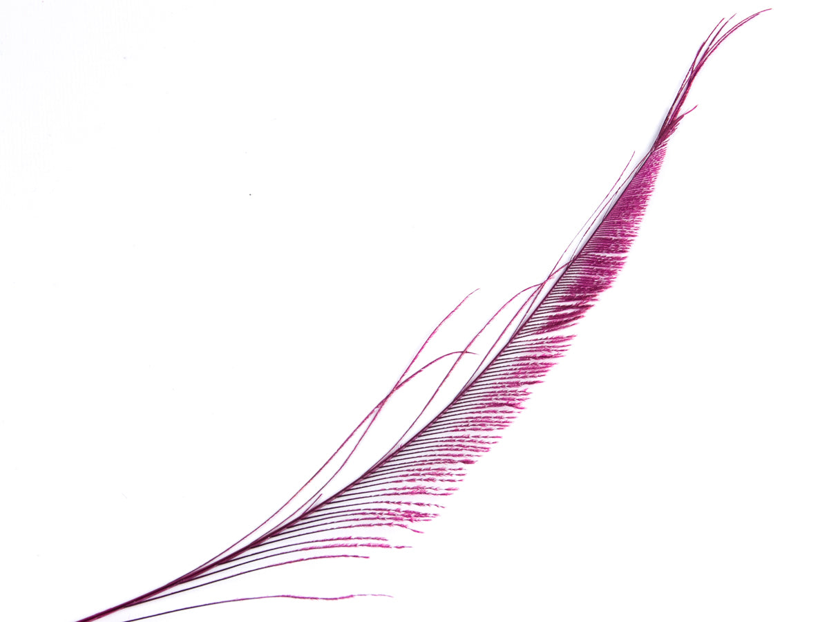 Peacock Sword Feather Dyed 25-30cm, Fuchsia