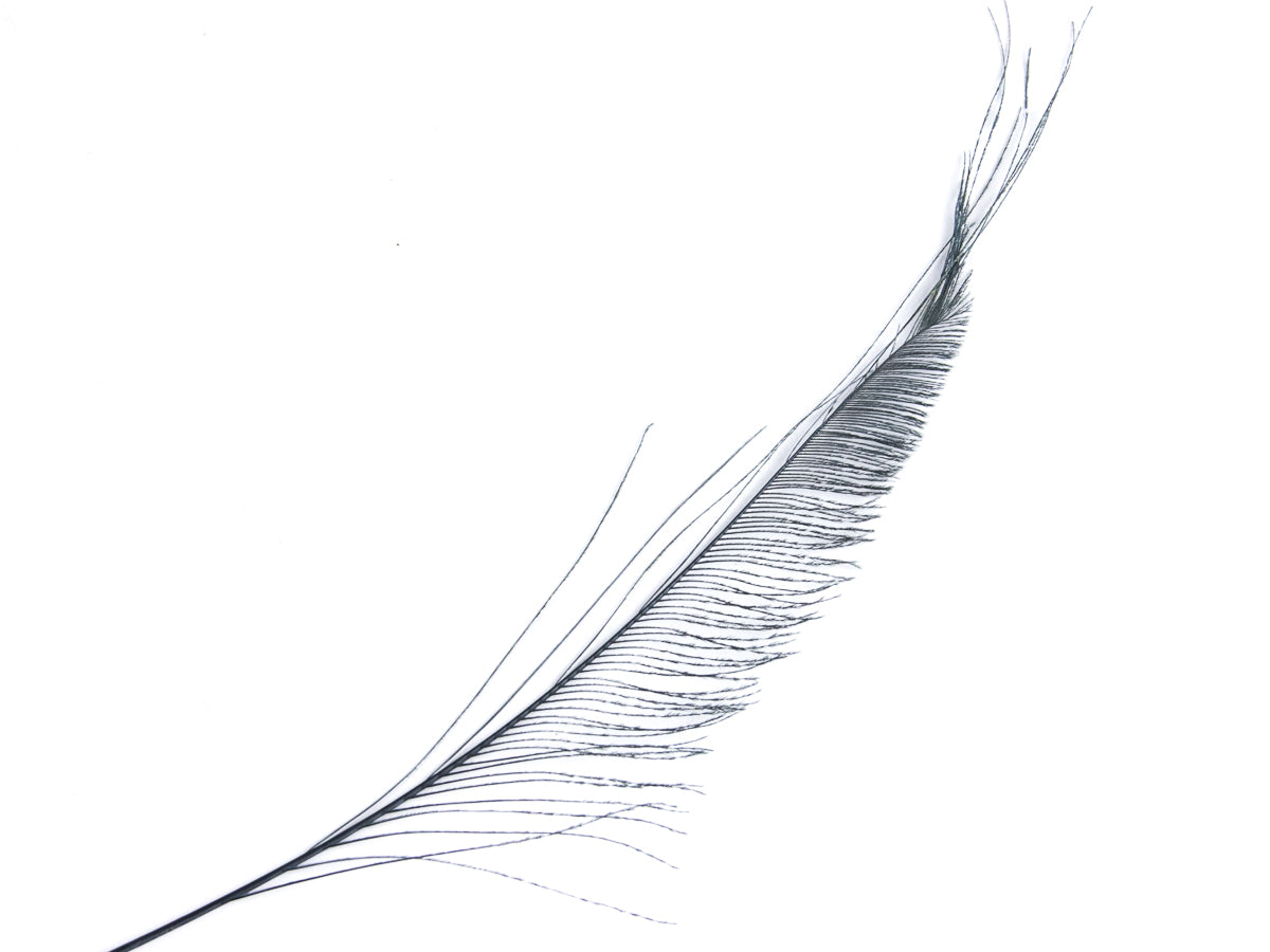 Peacock Sword Feather Dyed 25-30cm, Navy