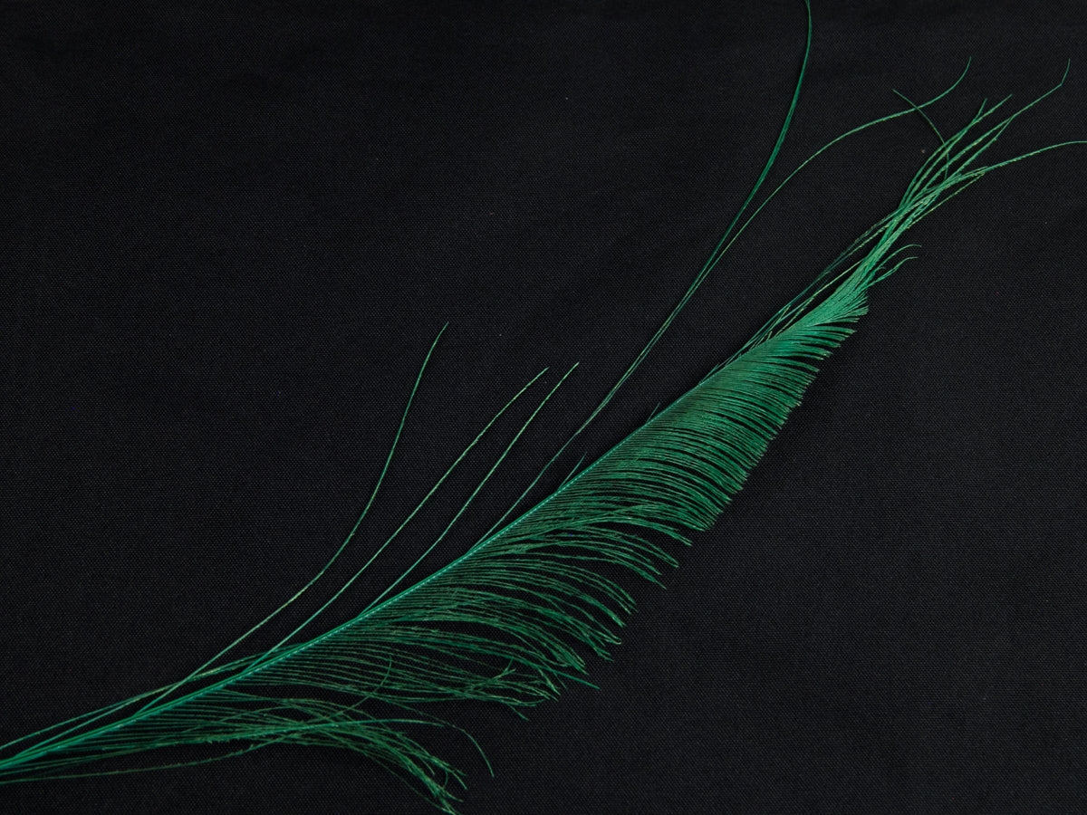 Peacock Sword Feather Dyed 25-30cm, Emerald