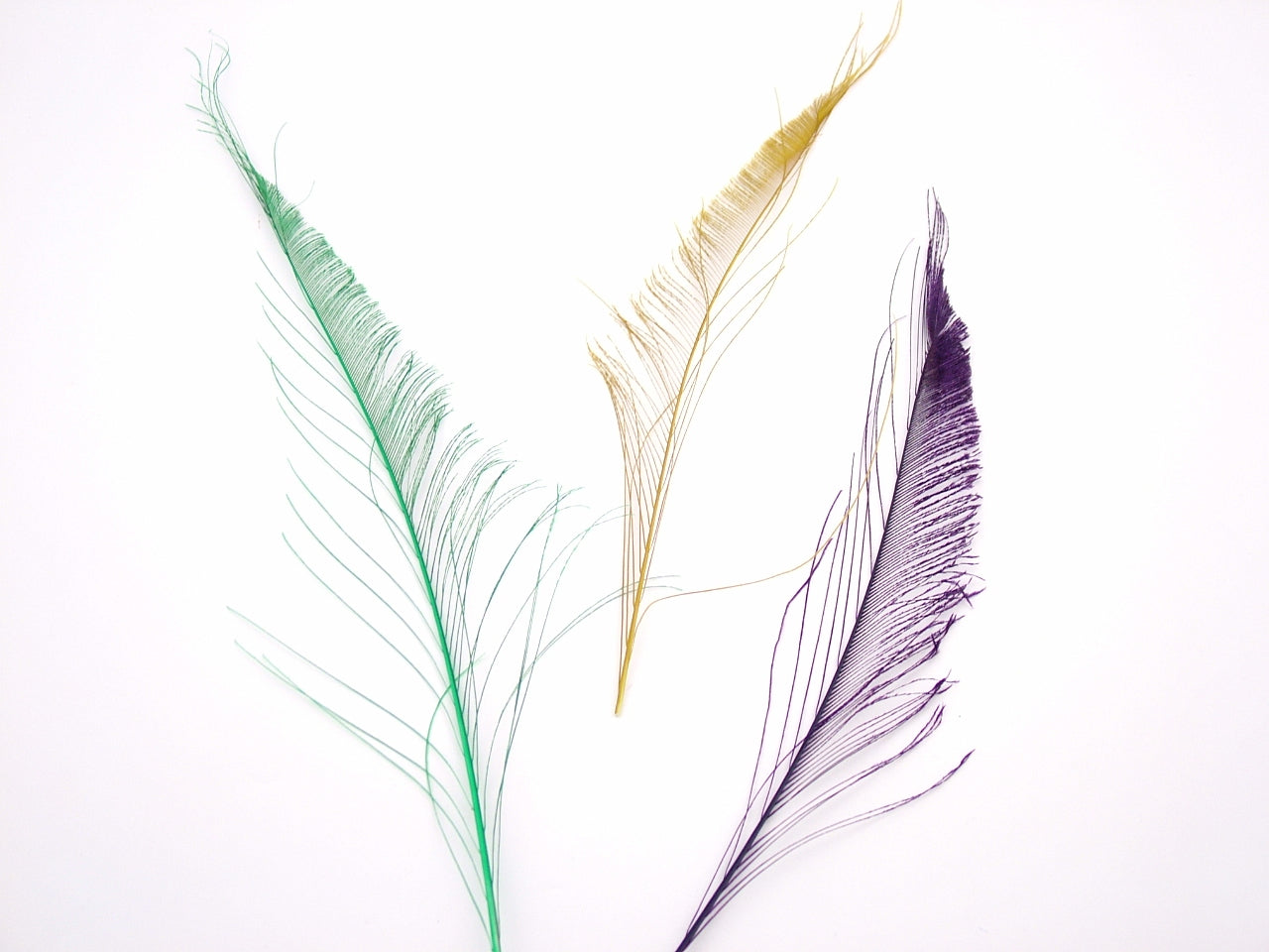 Peacock Sword Feather Dyed