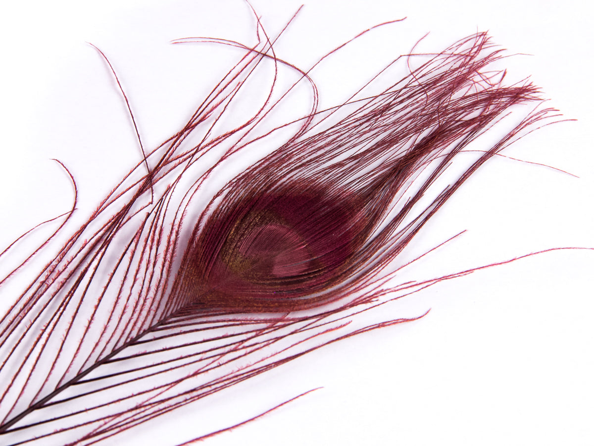 Peacock Eye Feather Dyed (25-30cm) 25-30cm, Burgundy