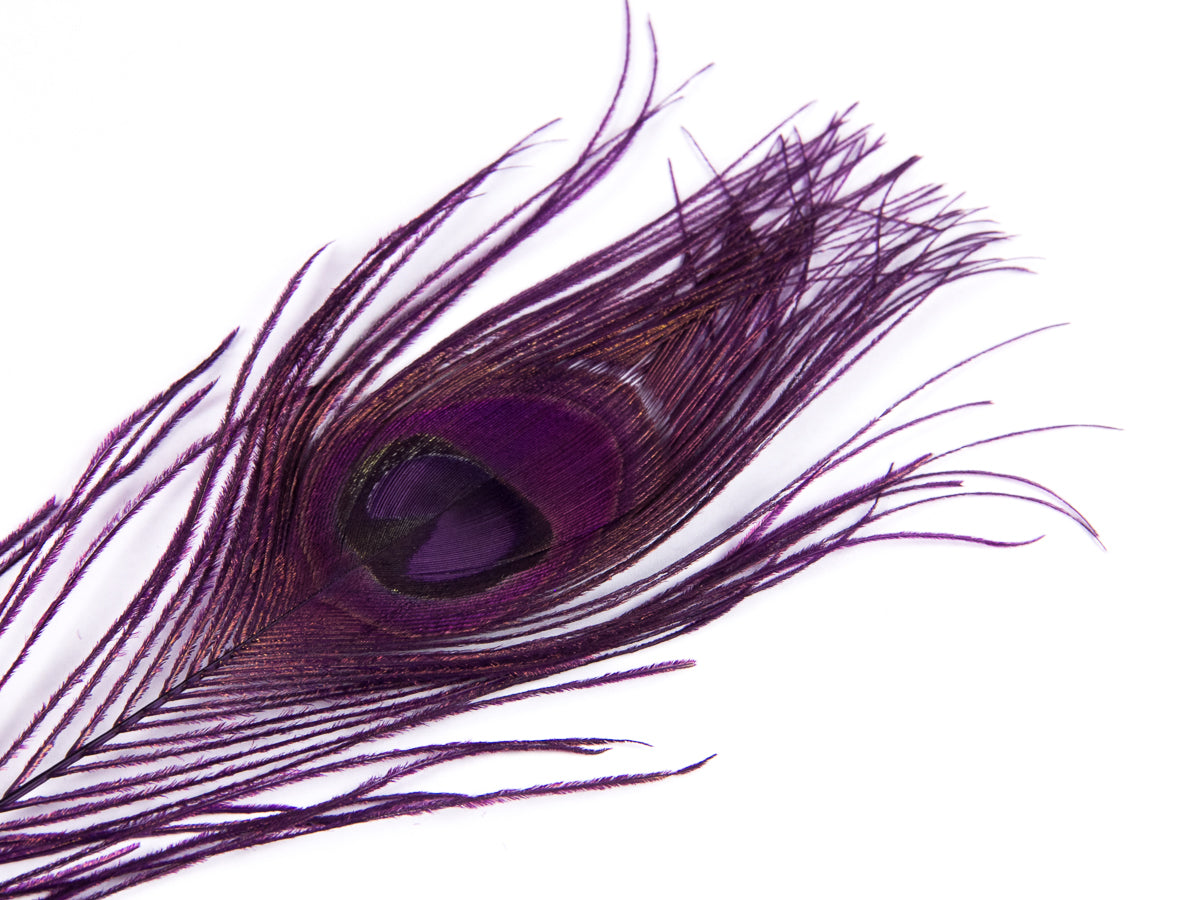 Peacock Eye Feather Dyed (25-30cm) 25-30cm, Purple