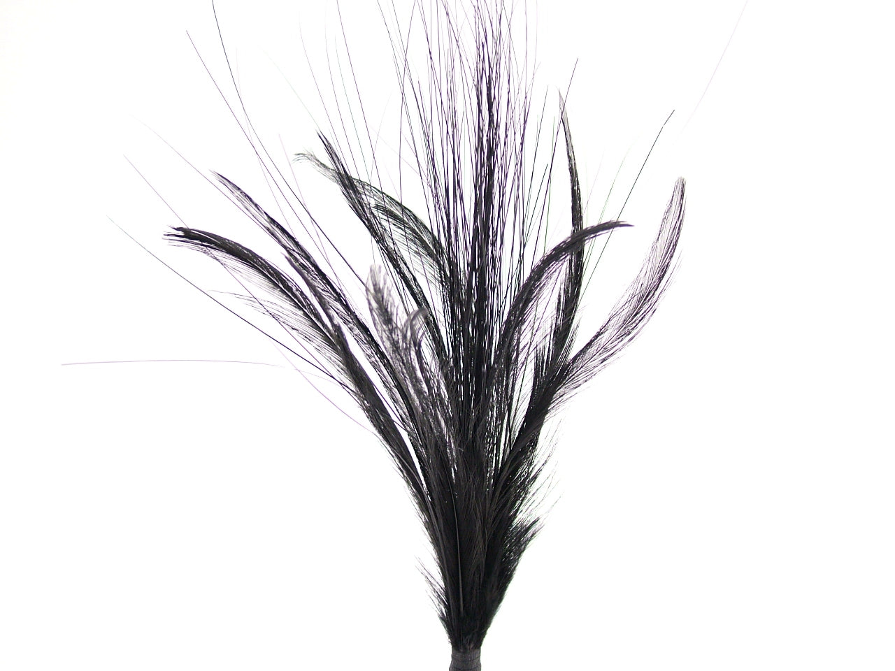 Imitation Bird of Paradise Hat Mount