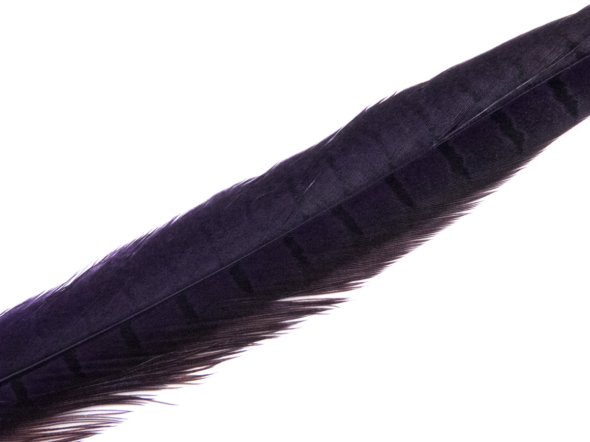 Ringneck Pheasant Side Tail Feather Dyed (25-35cm) 25-35cm, Dark Purple