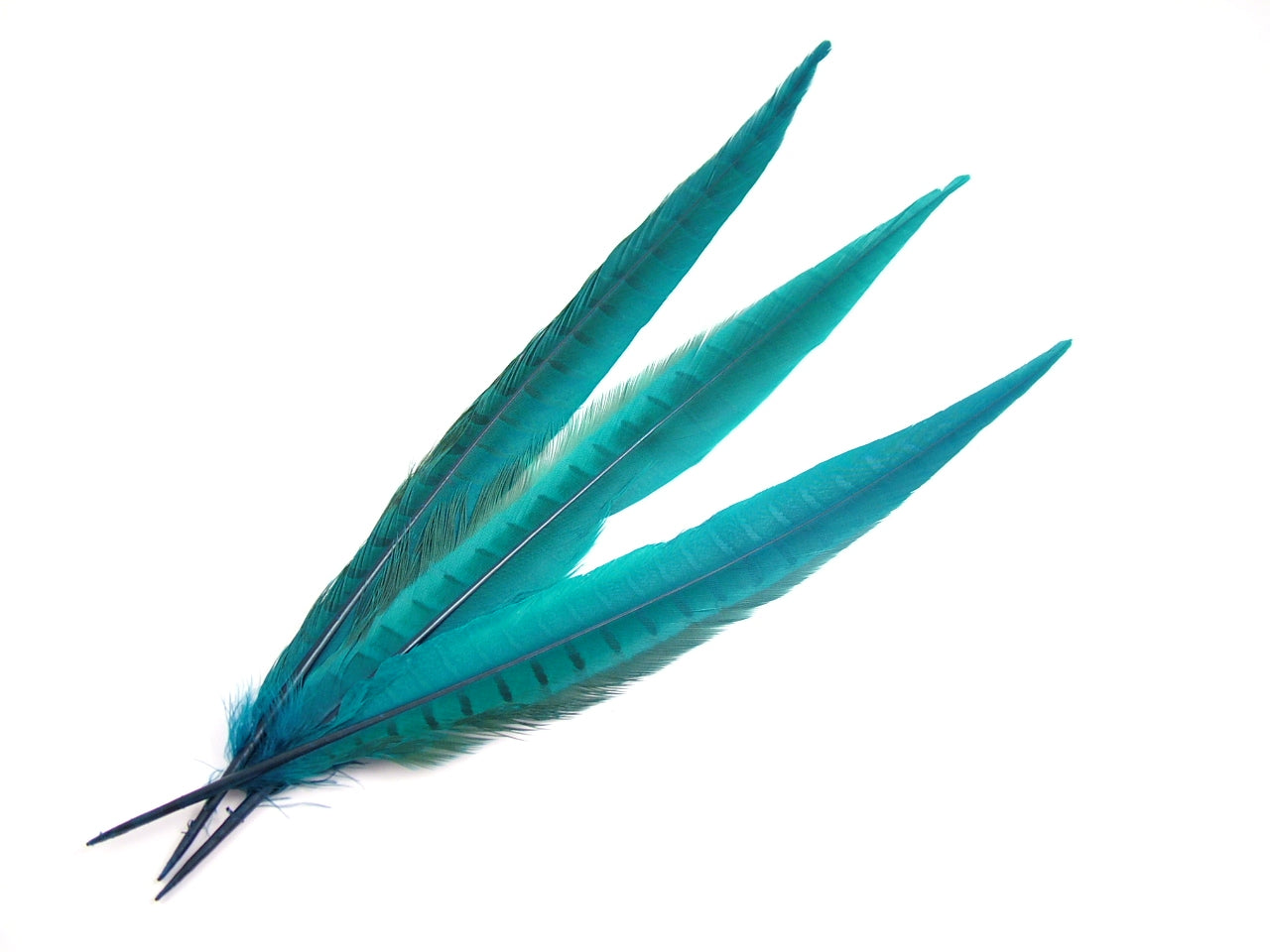 Ringneck Phesant Side Tail Feather Dyed