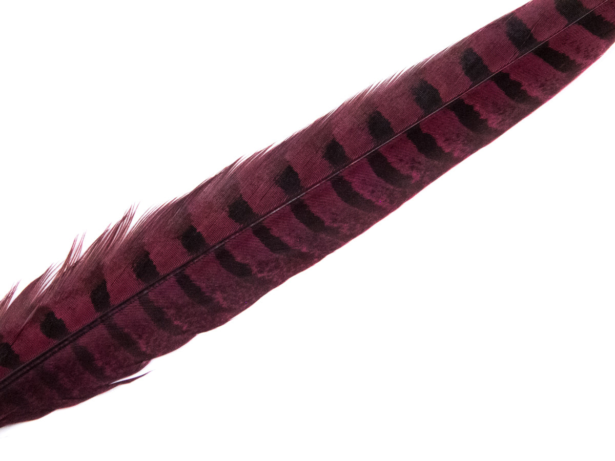 Ringneck Pheasant Side Tail Feather Dyed (25-35cm) 25-35cm, Burgundy