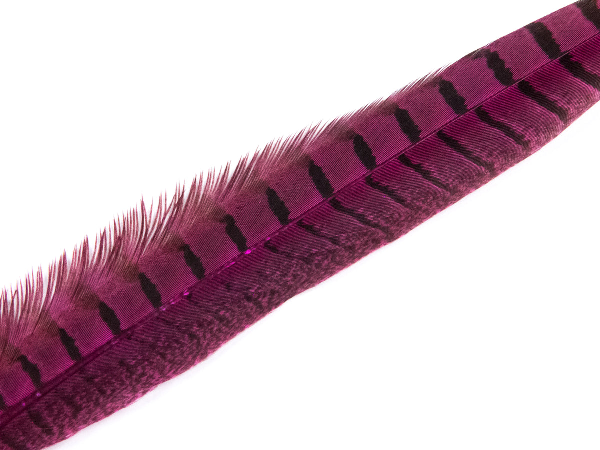 Ringneck Pheasant Side Tail Feather Dyed (25-35cm) 25-35cm, Shocking Pink