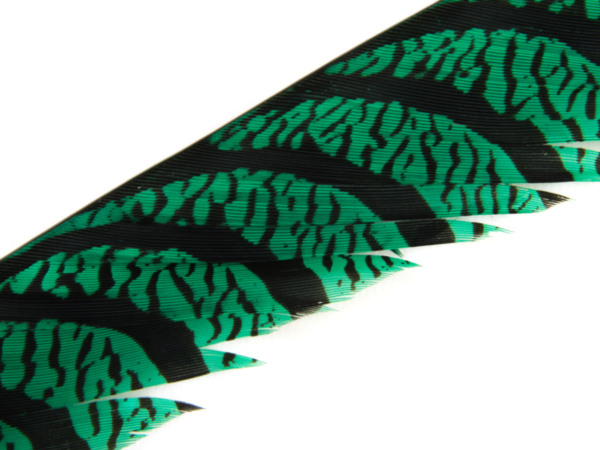 Lady Amherst Pheasant Centre Tail Feather Dyed 85-100cm, Emerald