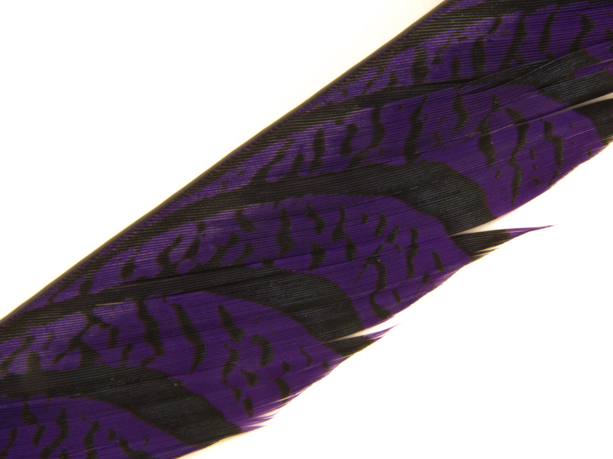 Lady Amherst Pheasant Centre Tail Feather Dyed 85-100cm, Purple