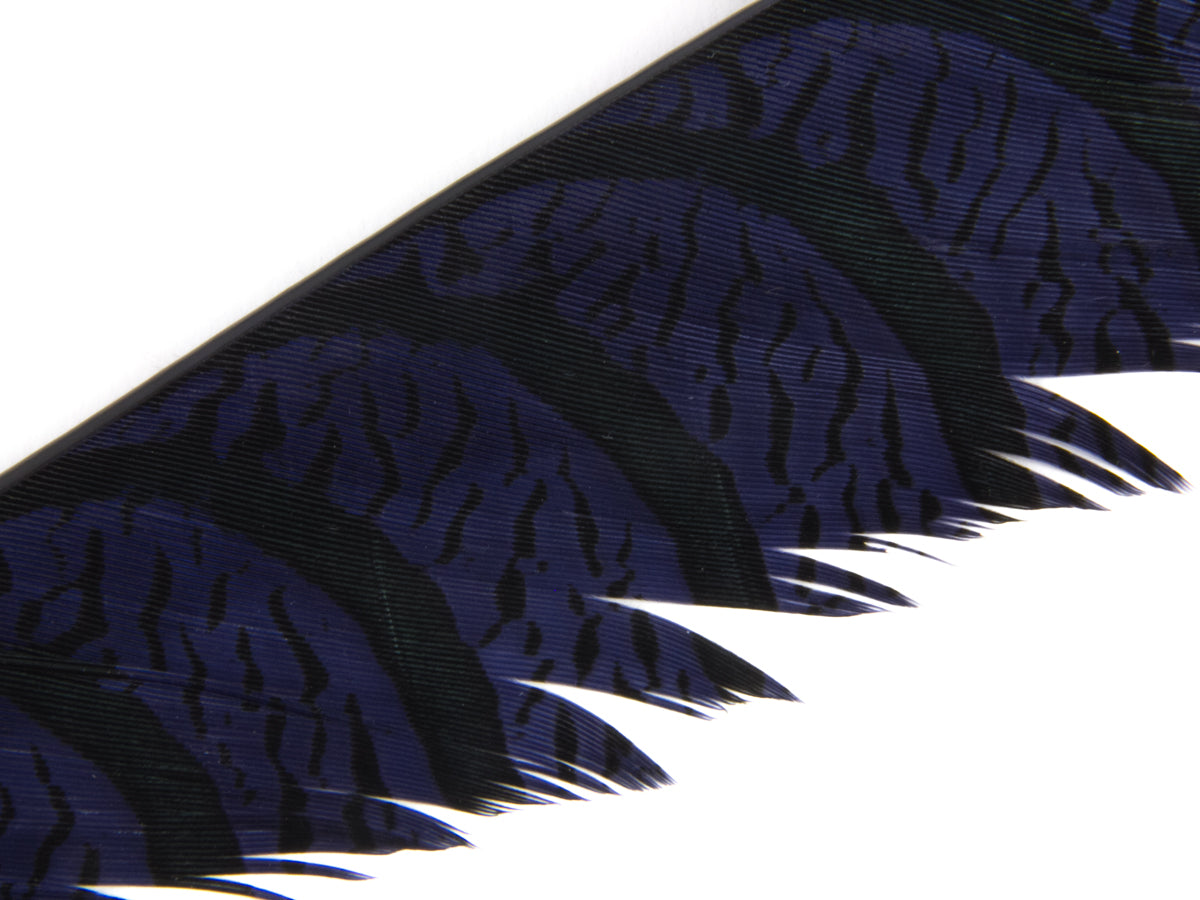 Lady Amherst Pheasant Centre Tail Feather Dyed 85-100cm, Navy