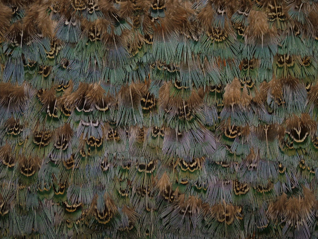 Pheasant Green Fringe per metre