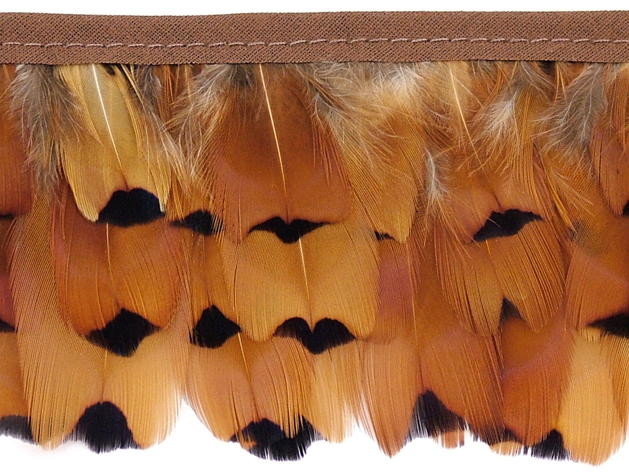Pheasant Gold Side Fringe per metre