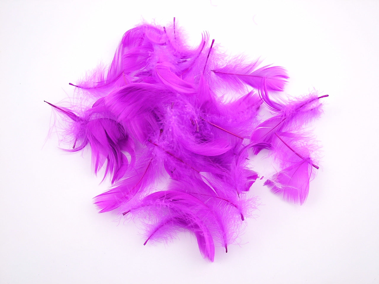 Goose Coquille Feathers Bulk