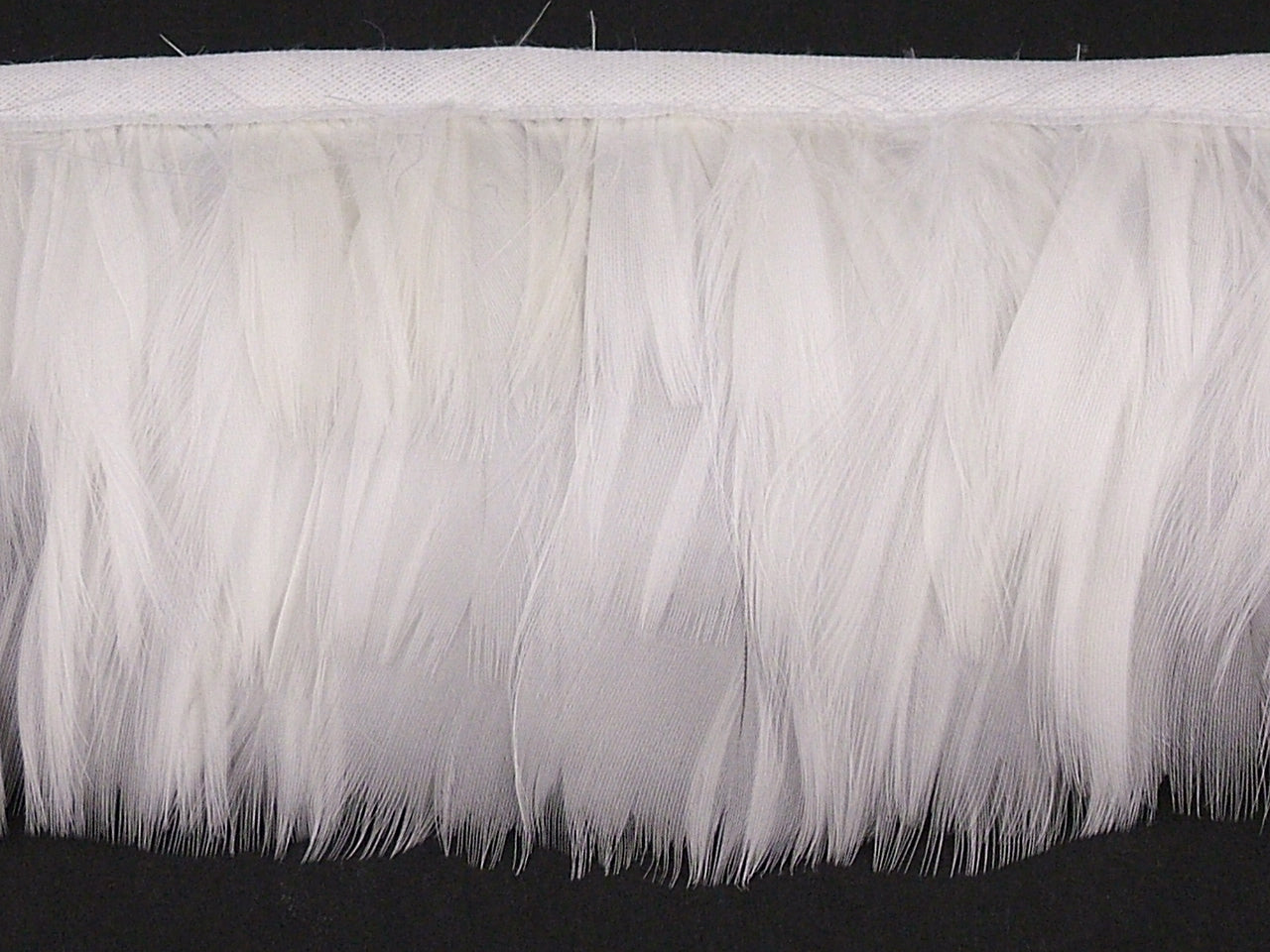 Goose Coquille Feather Fringe per metre
