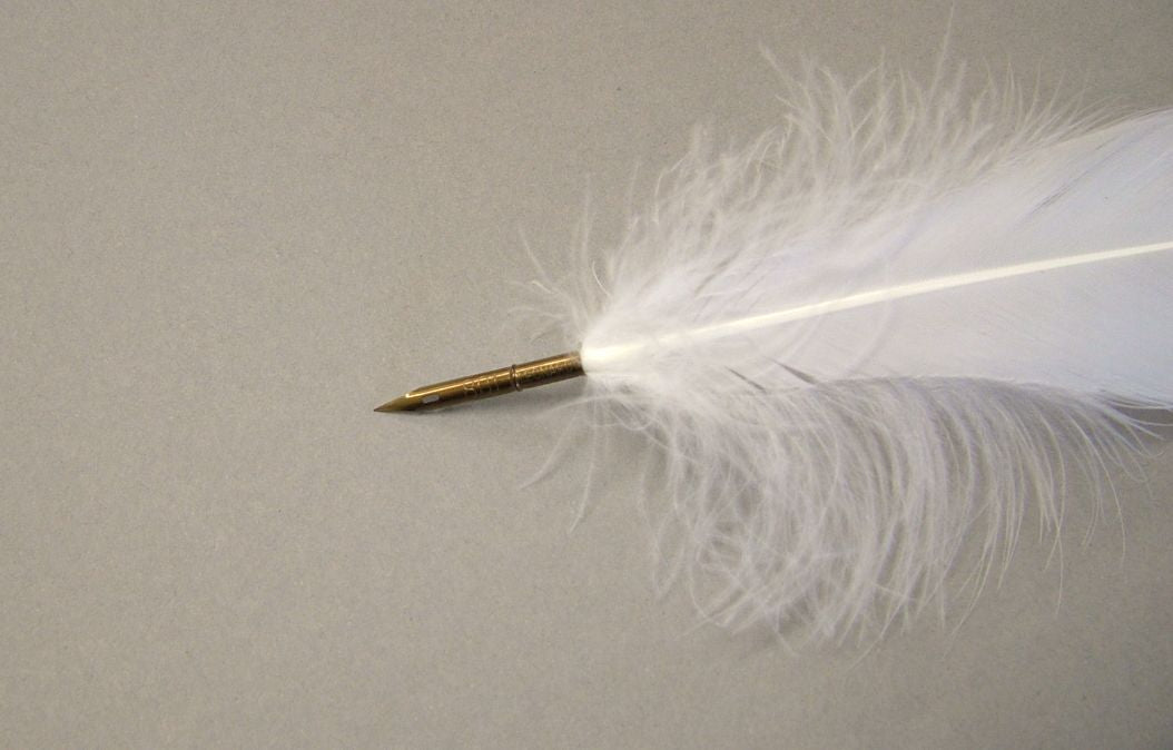 White Goose pen