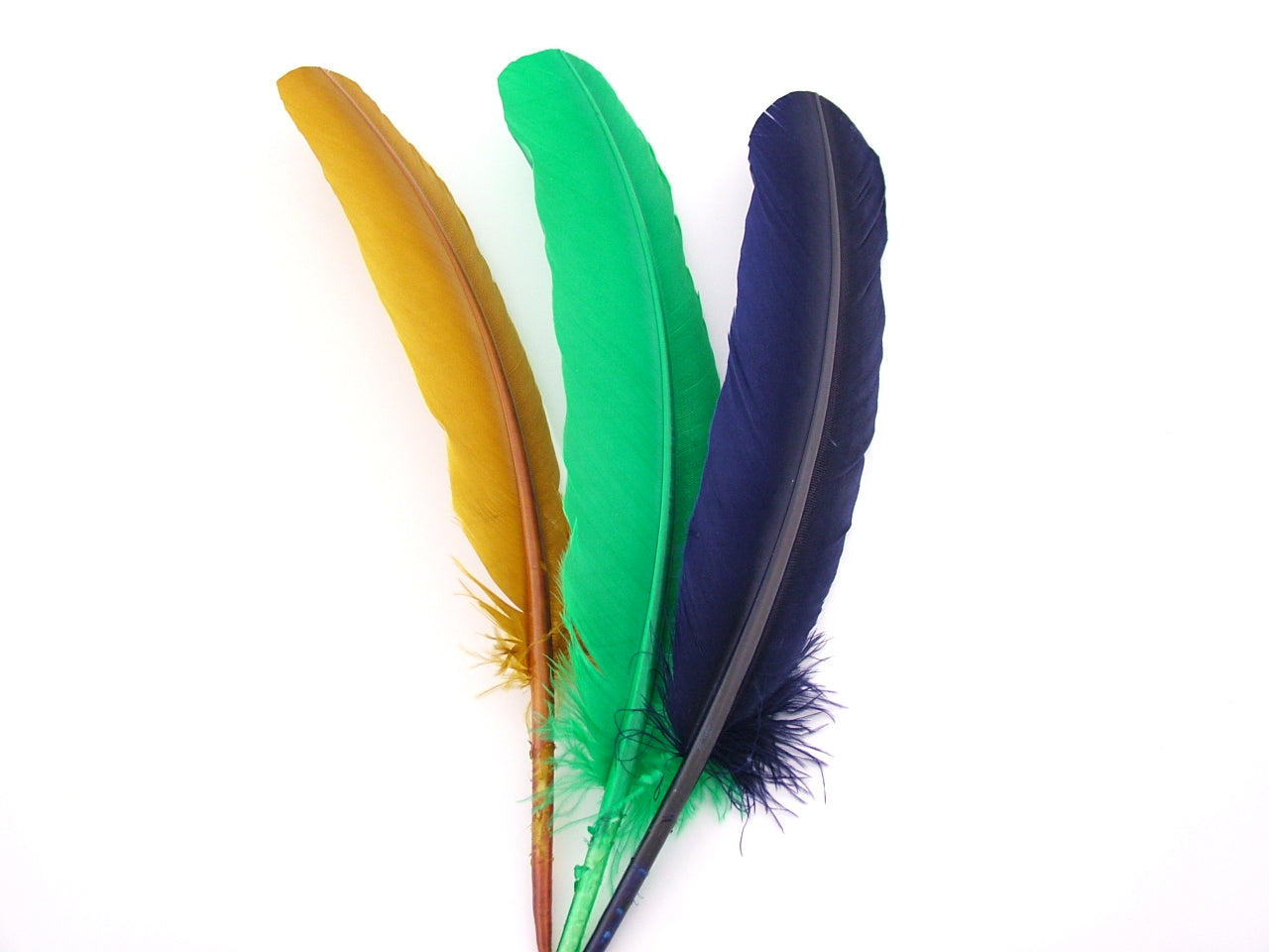 Turkey Quill Feather