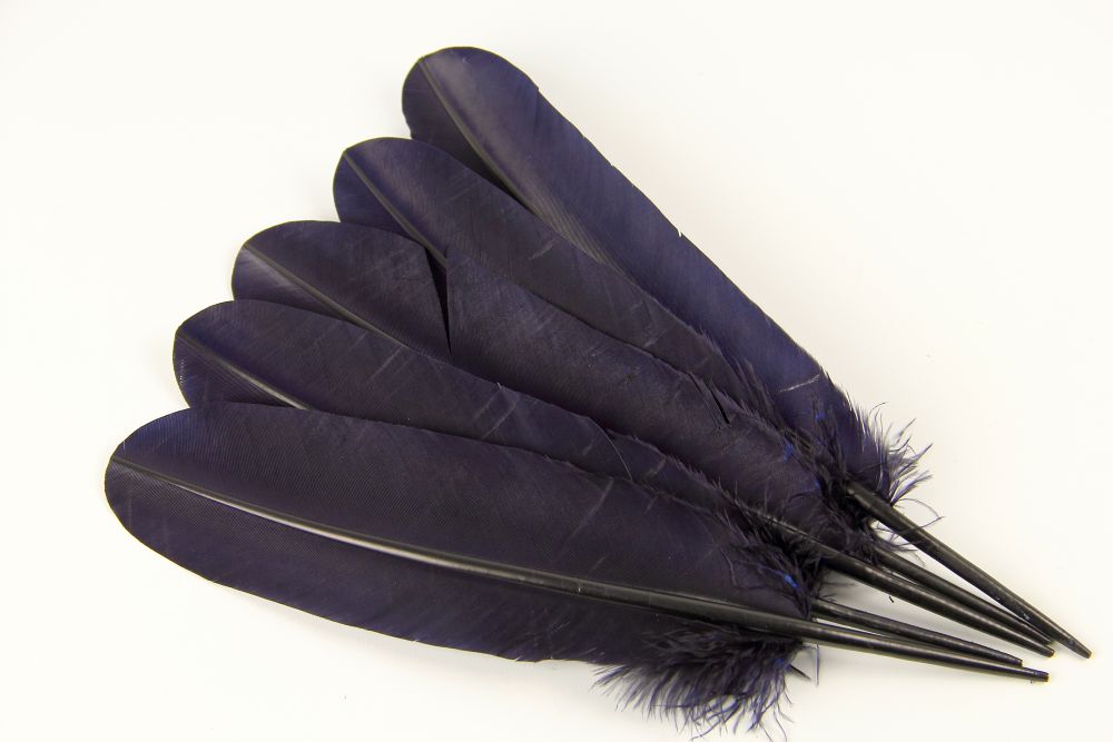 Turkey Quill Feather (25-30cm) Navy