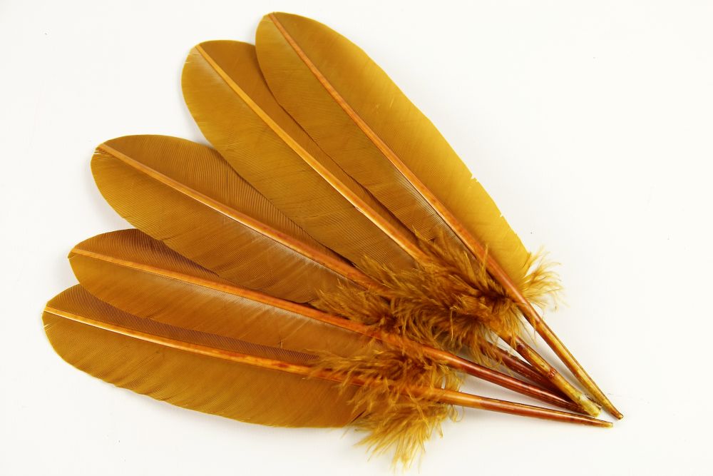 Turkey Quill Feather (25-30cm) Gold