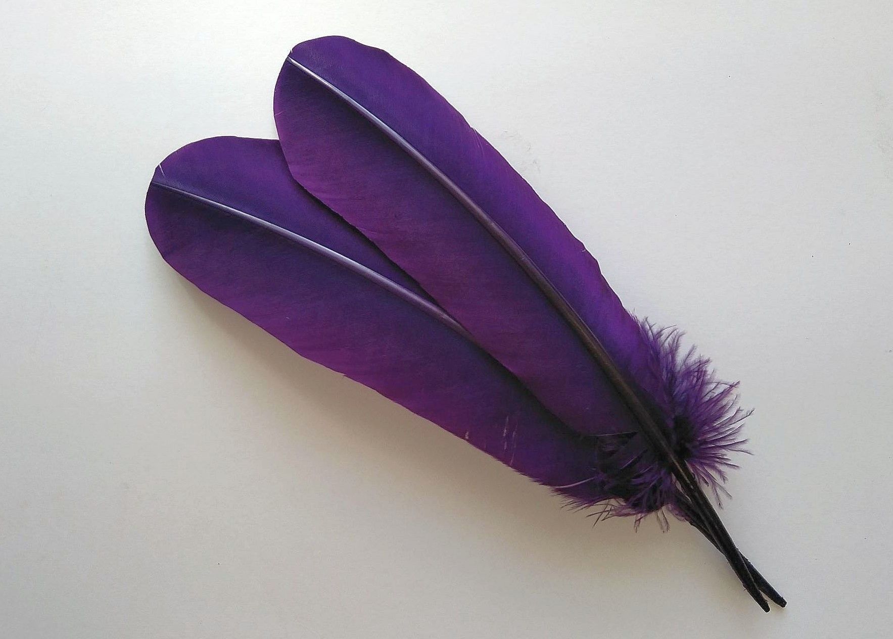 Turkey Quill Feather (25-30cm) Cadbury Purple
