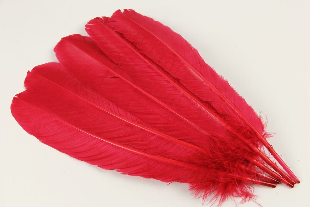 Turkey Quill Feather (25-30cm) Cherry