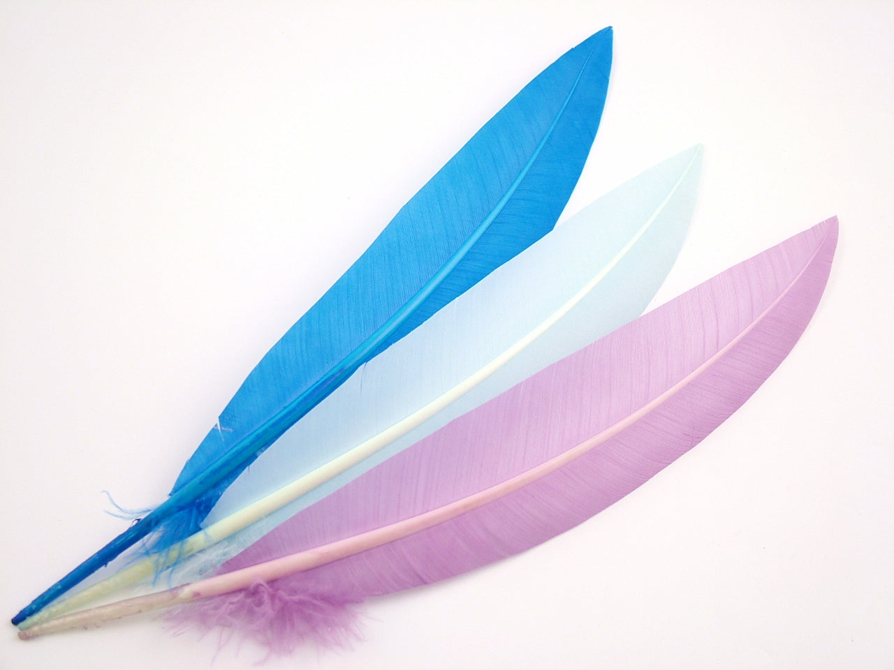 Imitation Goose Quill