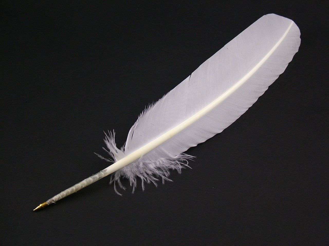 Turkey Quill Standard Ballpoint Pen