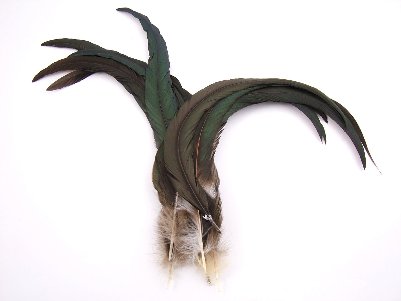 Natural Bronze Coque Feathers
