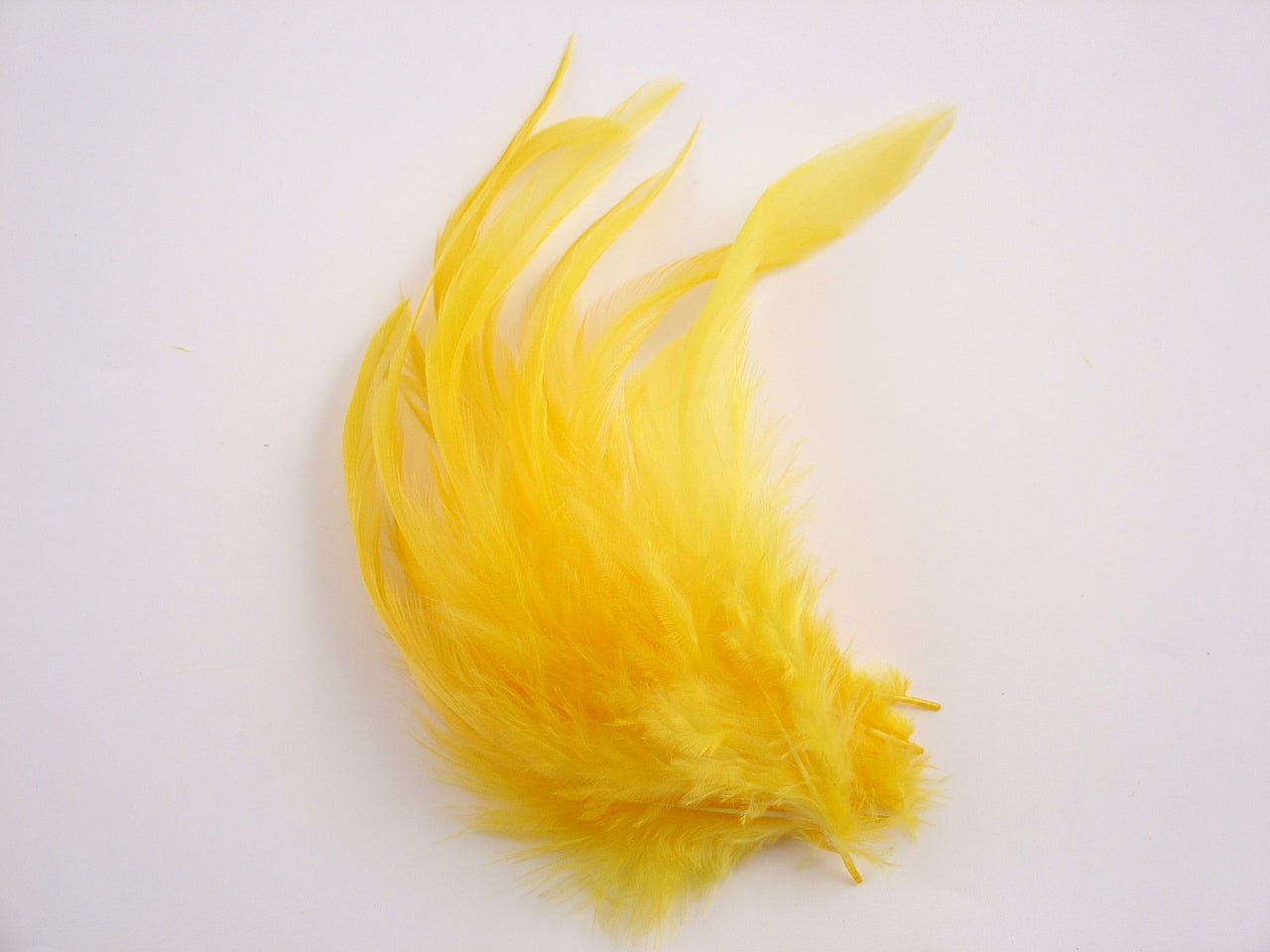 hackle feathers