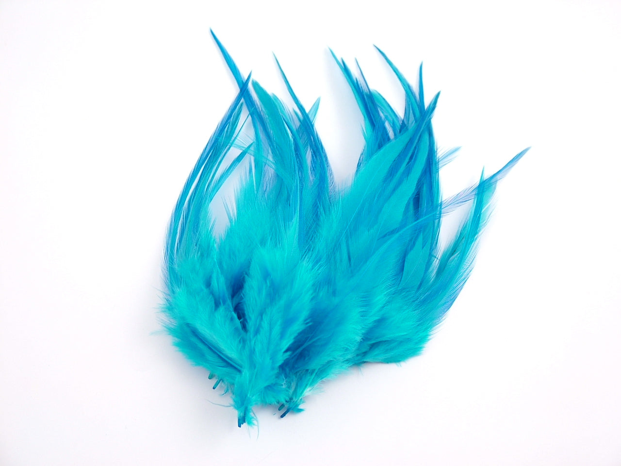 Hackle Feathers