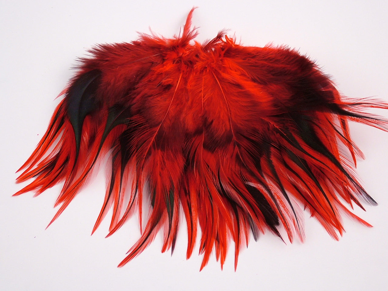red badger hackle feathers