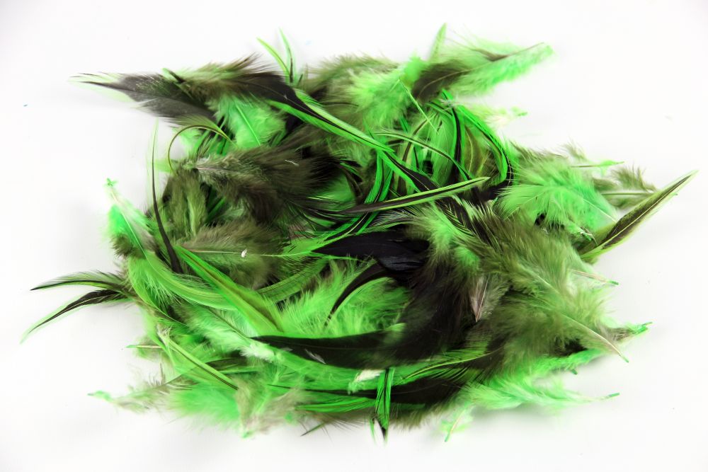 Badger Hackle Feathers 30gm, Lime