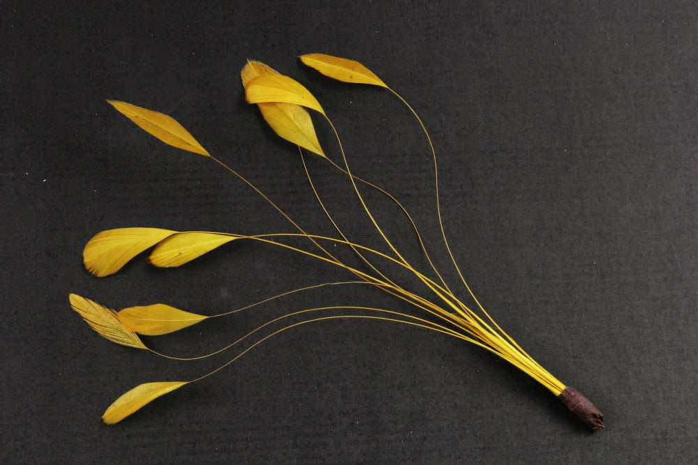 Stripped Coque Mount Gold