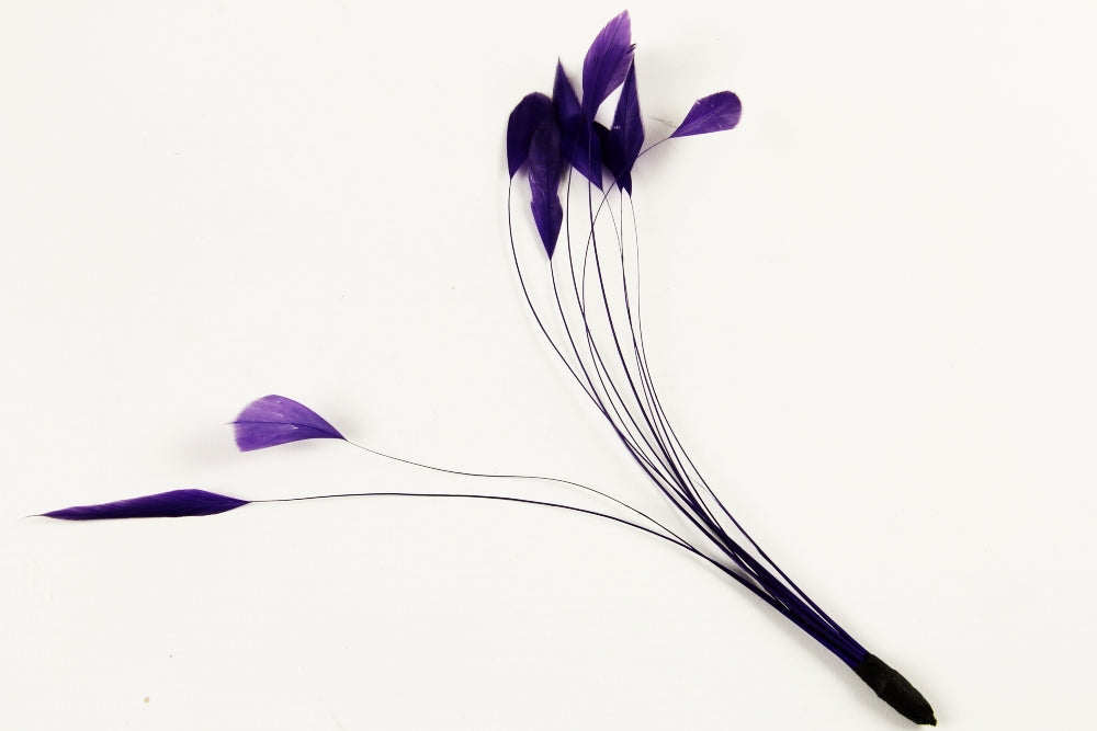 Stripped Coque Mount Purple