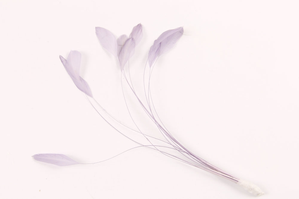 Stripped Coque Mount Lilac