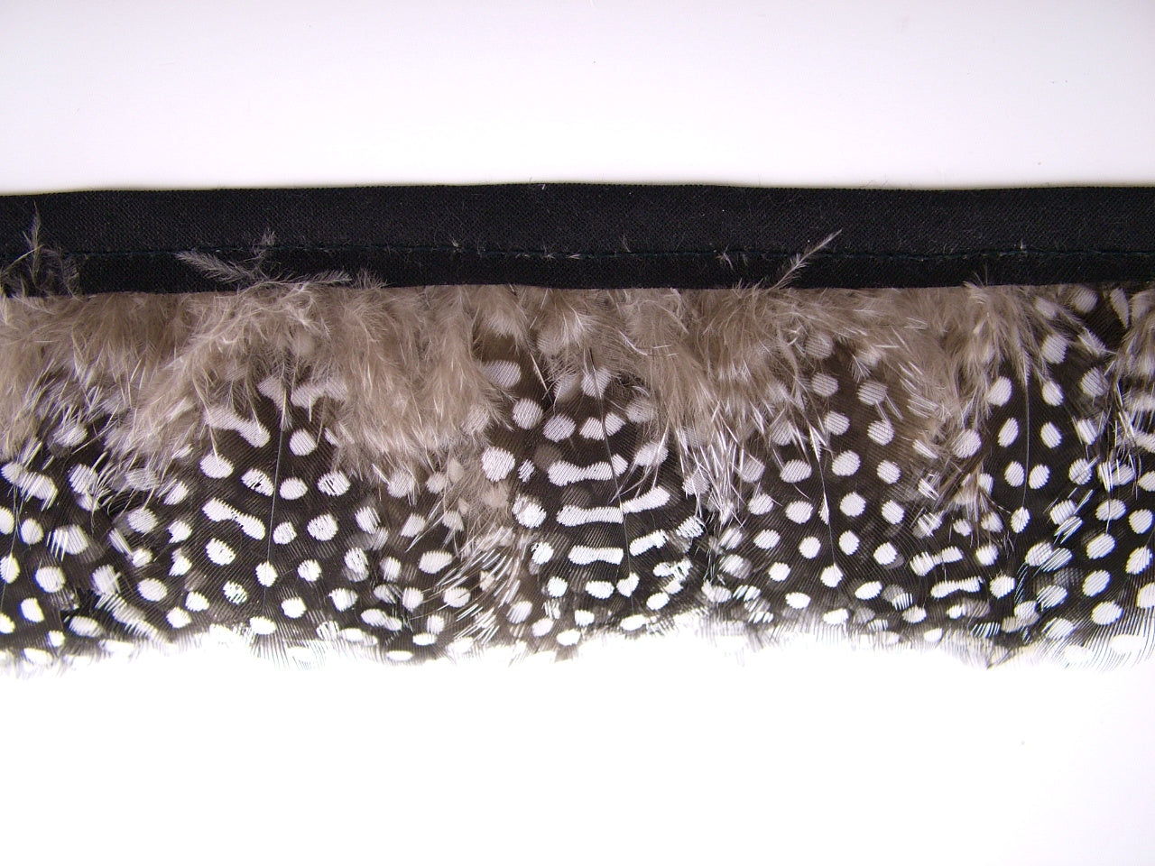 Guinea Fowl Fringe per metre