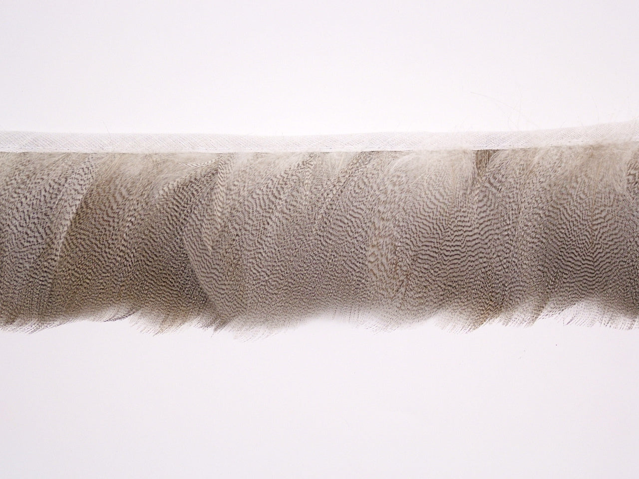 Mallard Duck Flank Fringe per metre