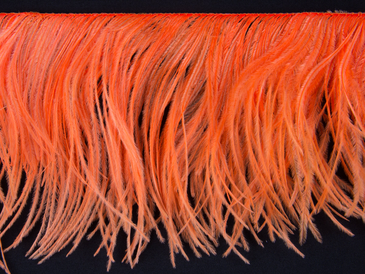 2 Ply Ostrich Feather Fringe (10cm depth) - Dancewear Colours