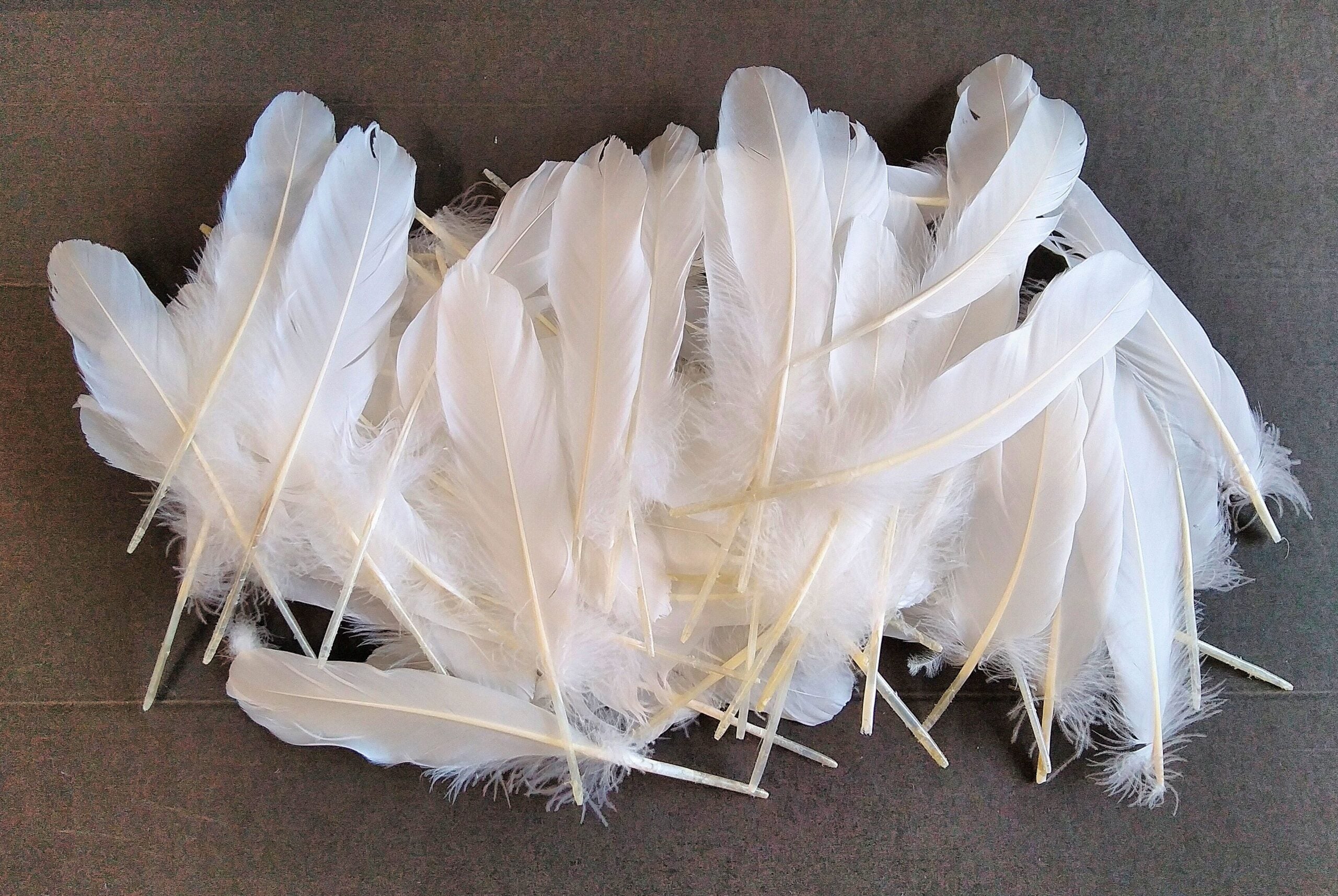 Goose Rounds 15-20cm 1