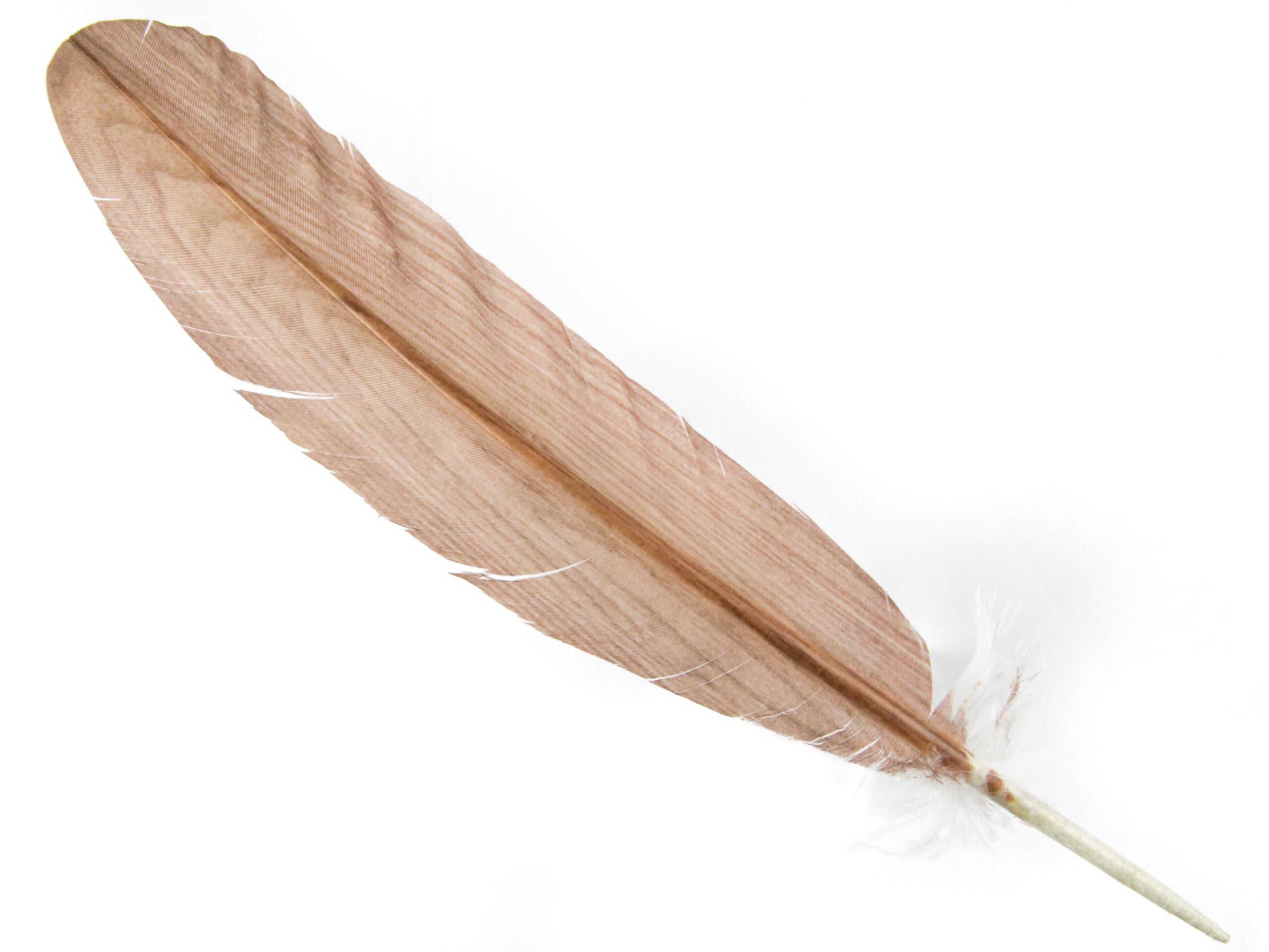 Decorative Printed Feathers Wood Grain